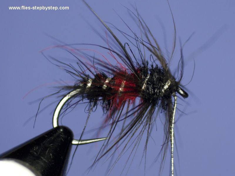 Bibio classic wet fly pattern - How to tie fly, Fly tying Step by Step ...